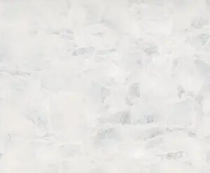 Arctic BQS