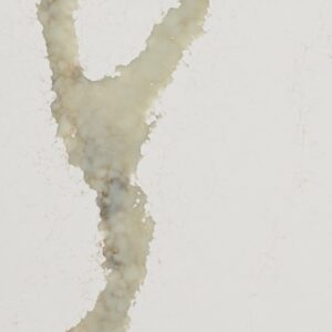 Calacatta Thyme Caesarstone