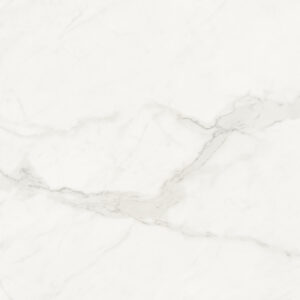 Circa Porcelain