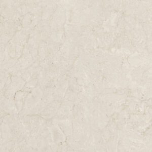 Fossilia Porcelain