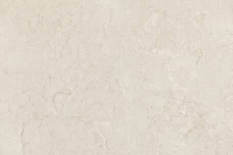 Fossilia Porcelain