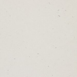 Misty Carrera Caesarstone