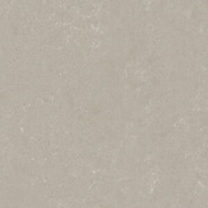 Noble Ivory White