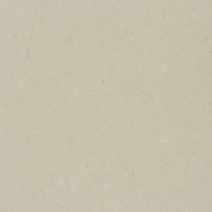 Organic Dawn Caesarstone