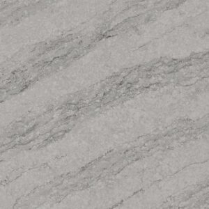 Pacific Grey