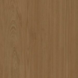 Pasadena Neolith