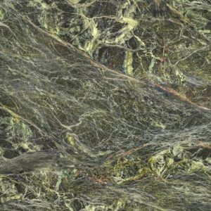 Rain Forest Green