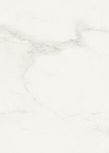 Snowdrift Porcelain