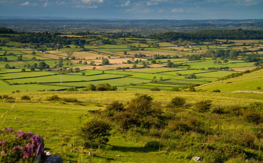 Somerset Landford Stone